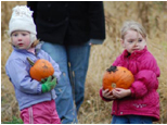 picking pumpkins in Wisconsin