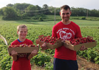 Bures Berry Patch - Strawberries