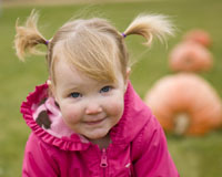 Bures Berry Patch - Pumpkins